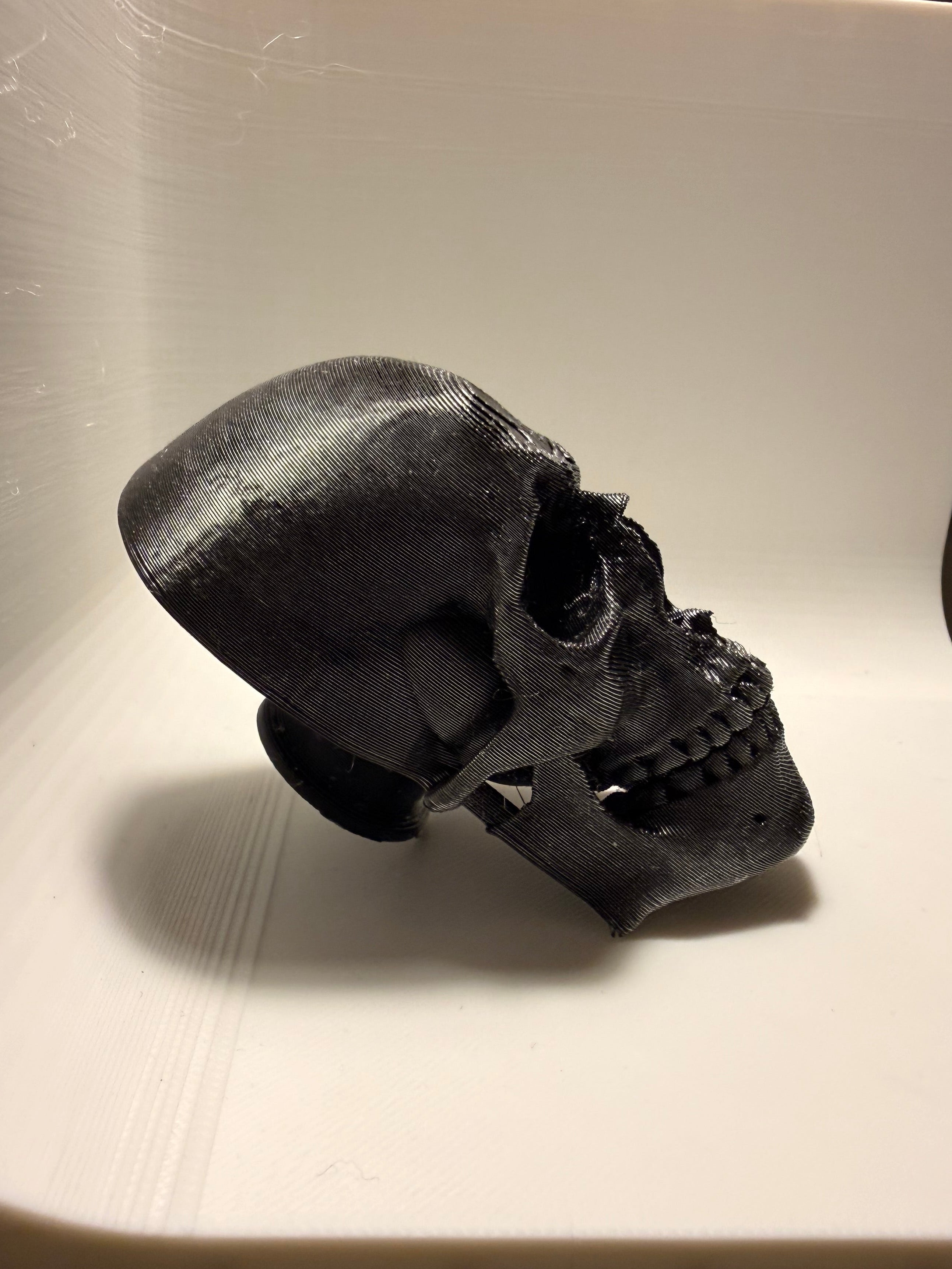 Skull drawer pull
