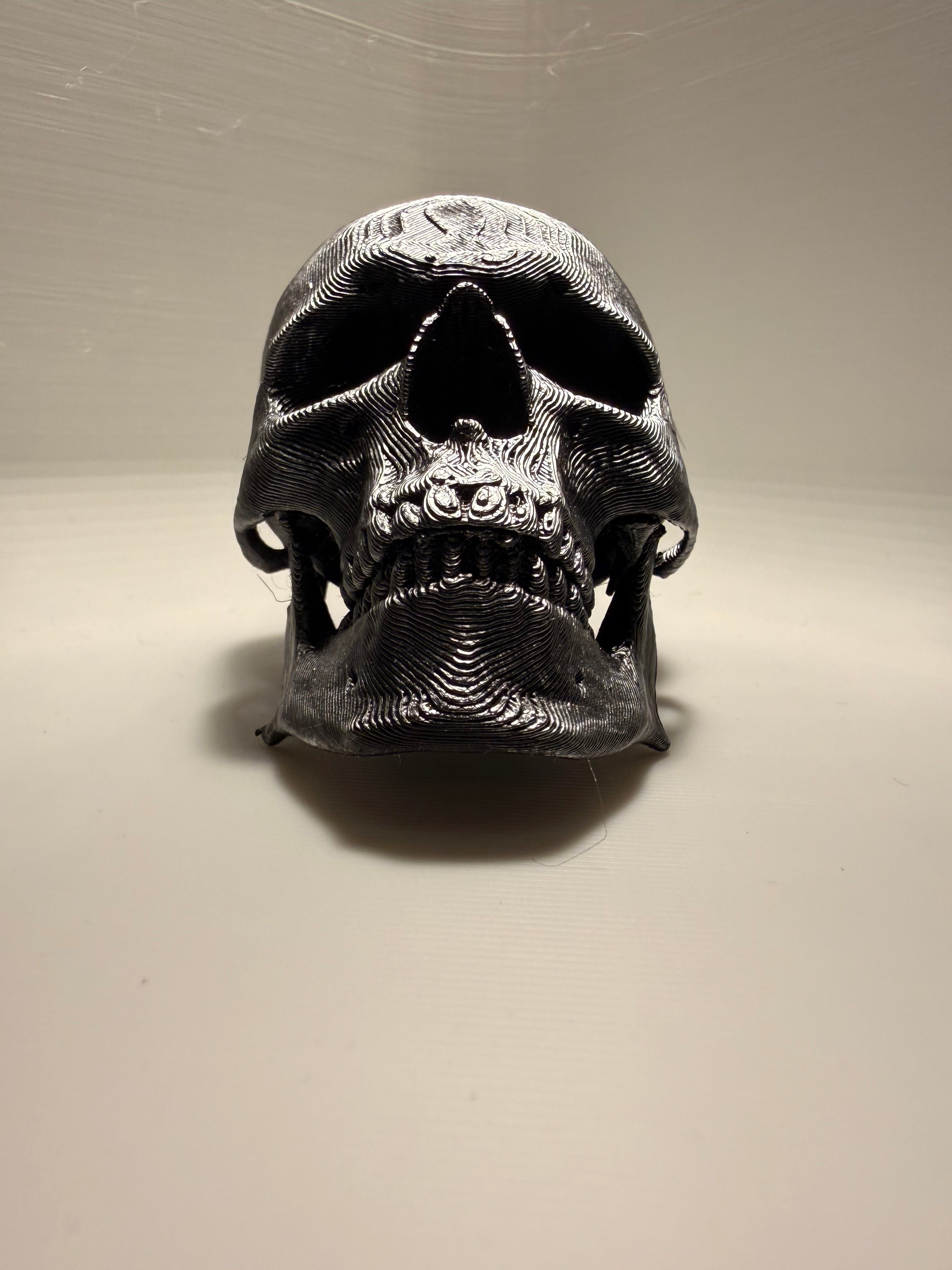 Skull drawer pull