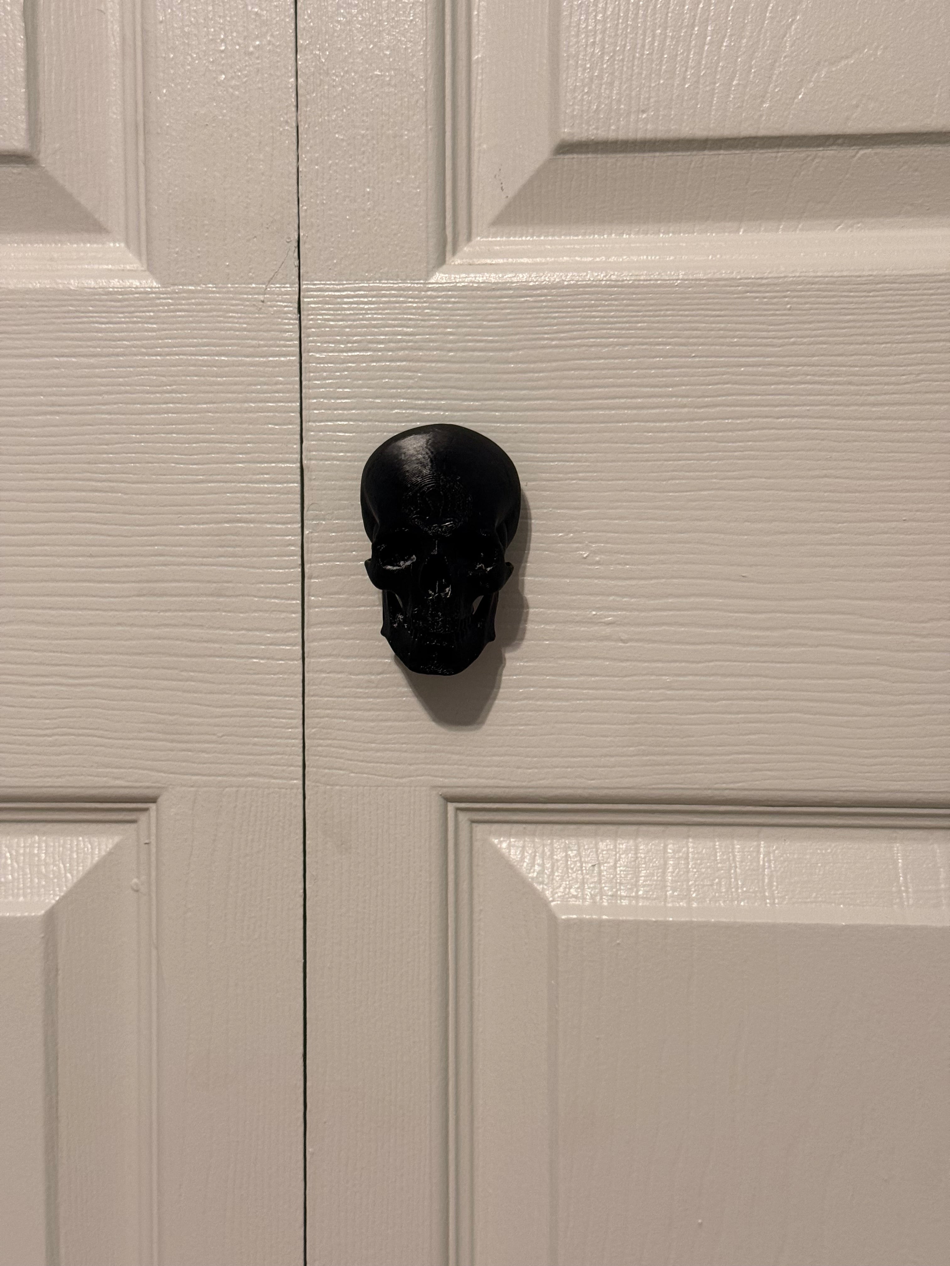 Skull drawer pull