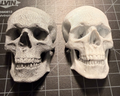 Skull Magnet