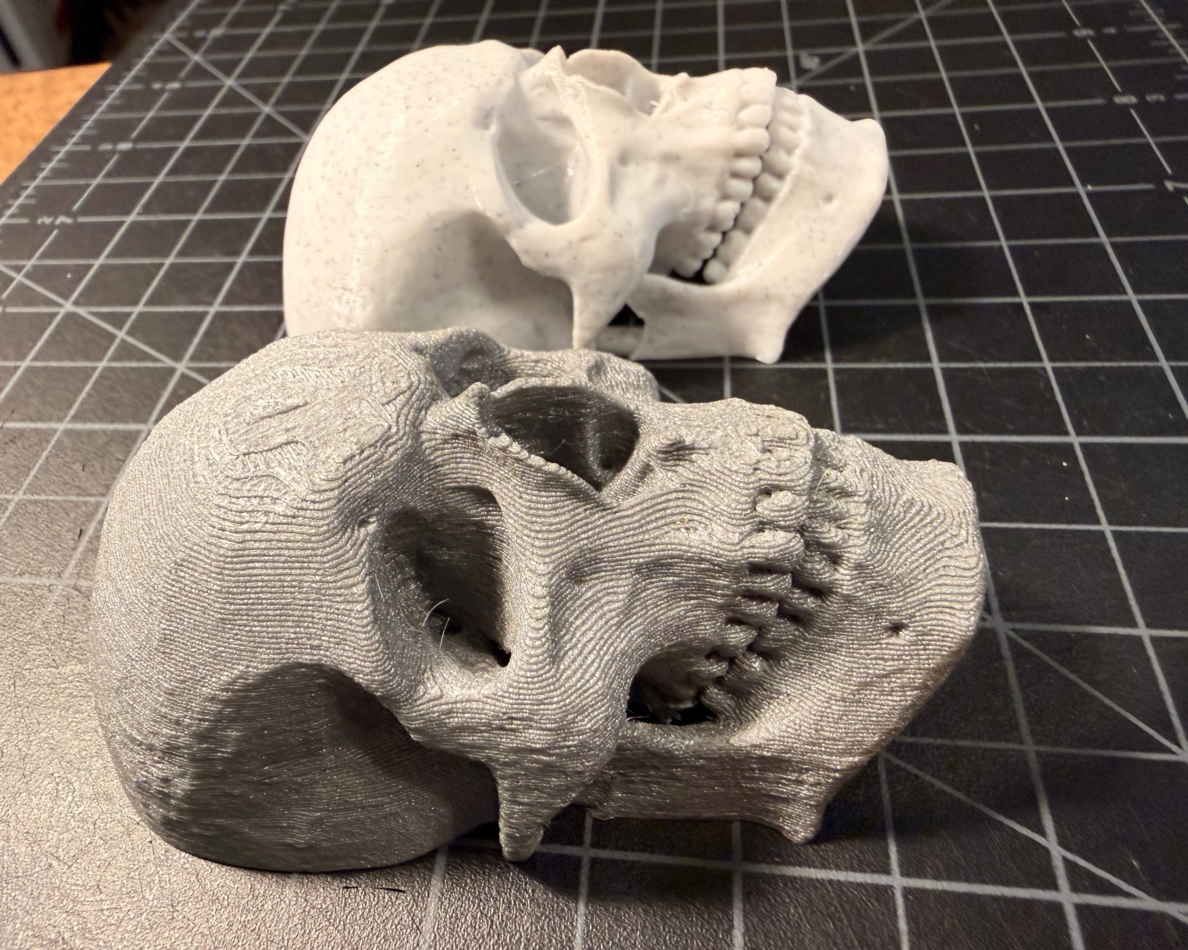 Skull Magnet