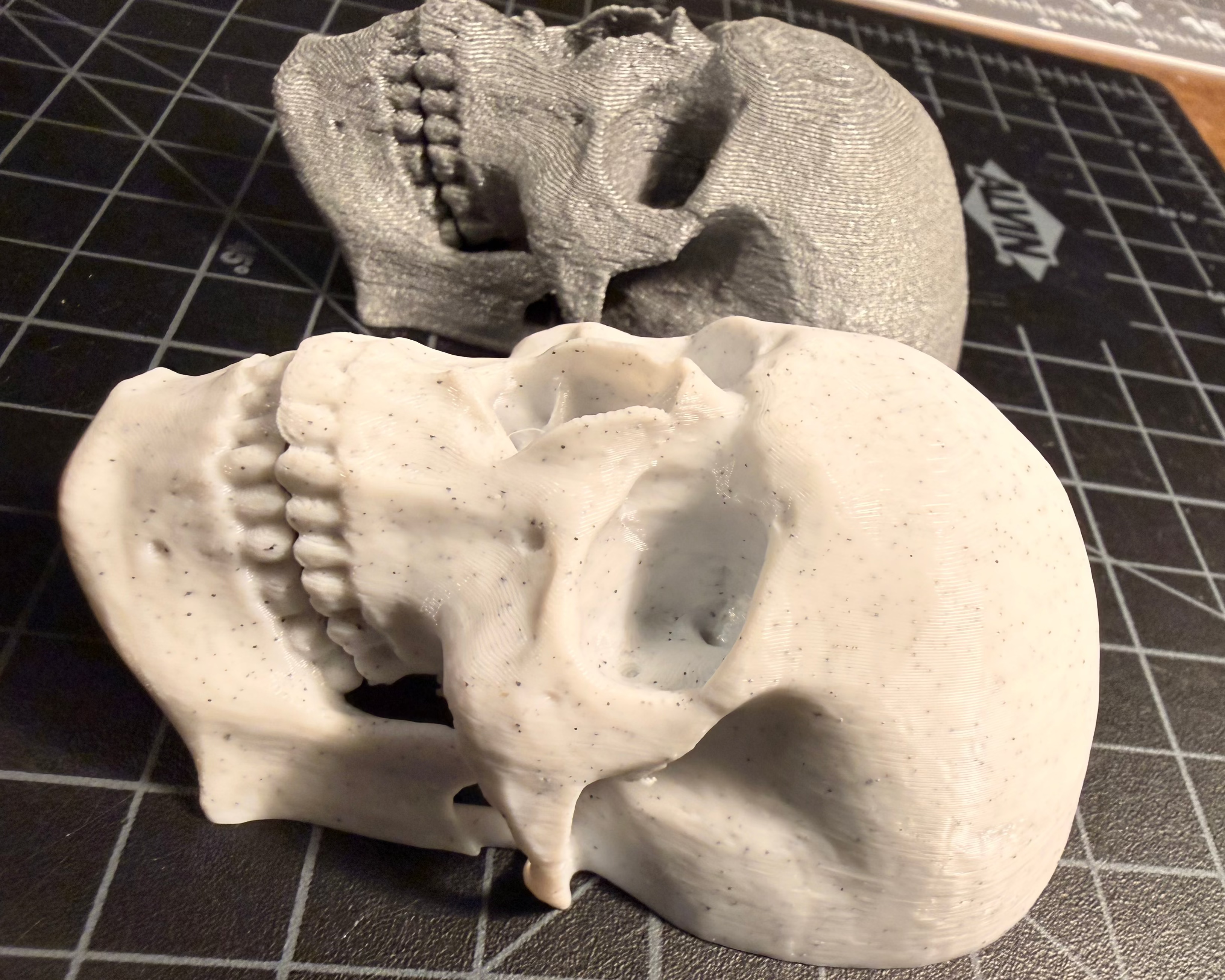 Skull Magnet