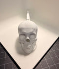 Skull Reverser