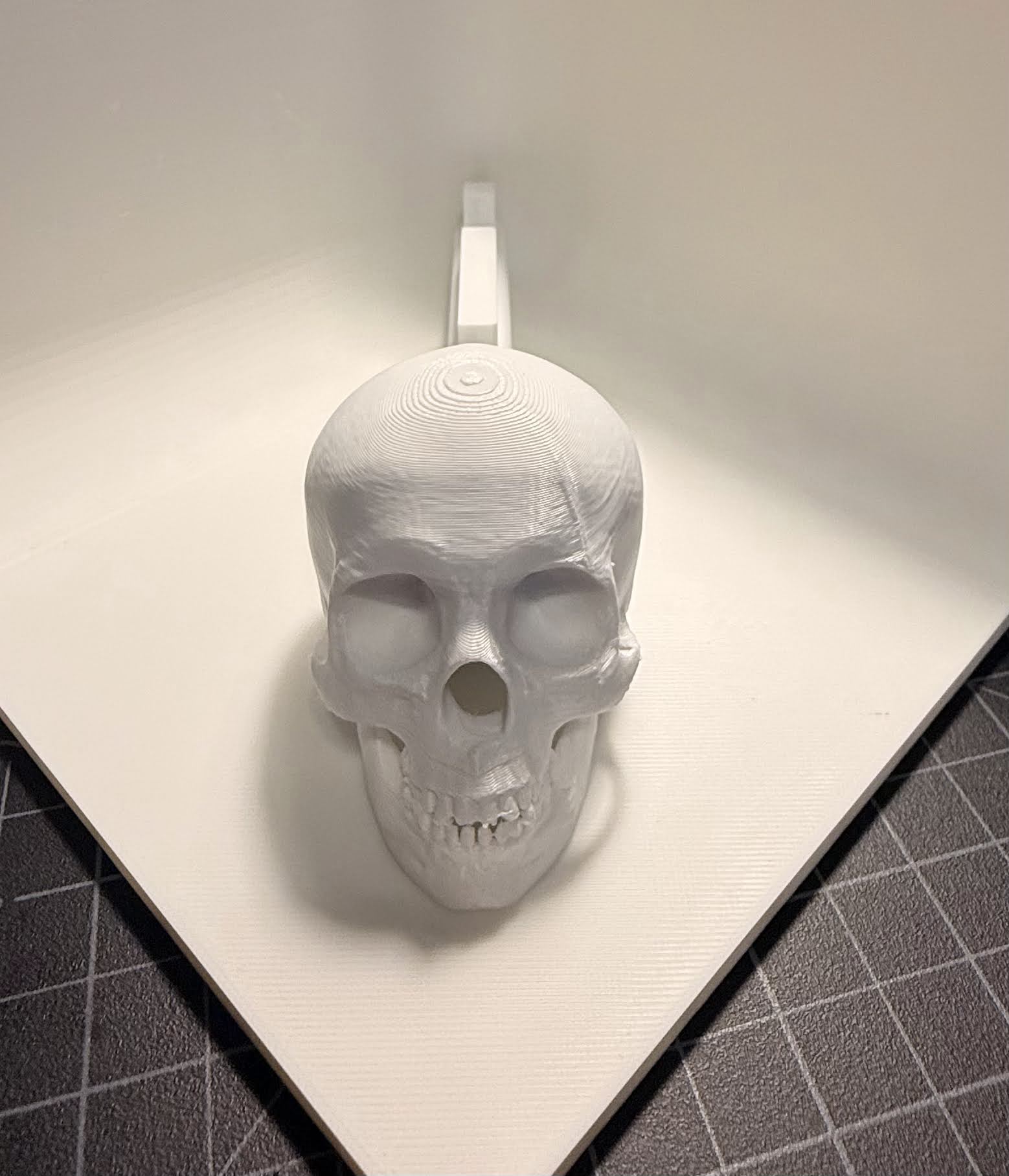 Skull Reverser